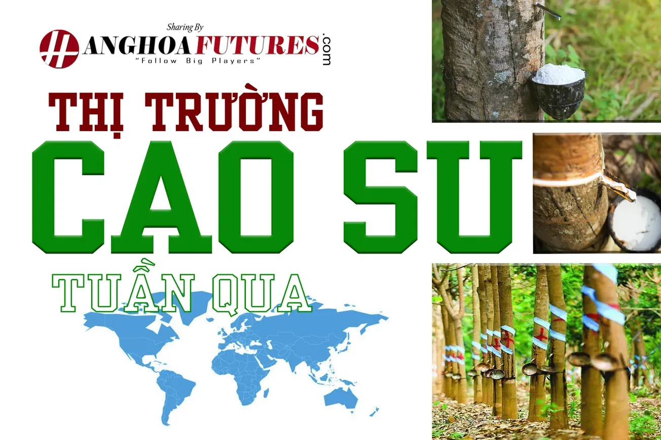 Thị trường Cao Su Tuần qua (10/05-16/05/2025)
