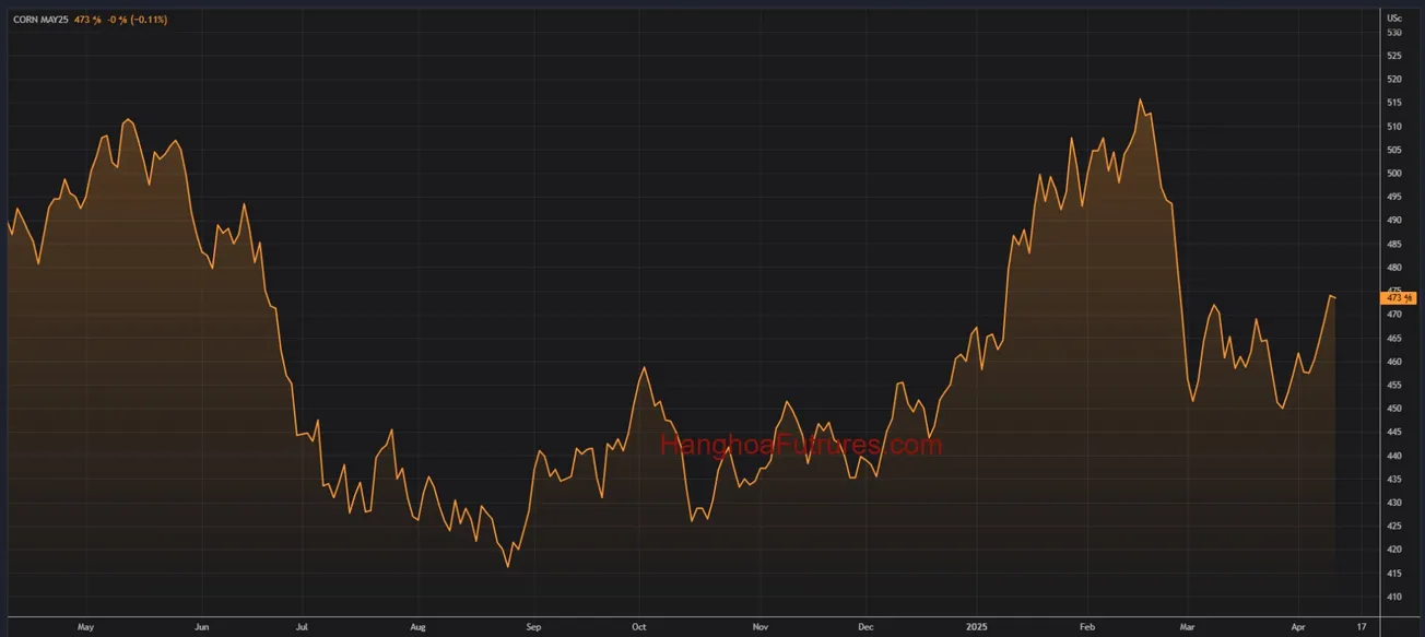 Diễn biến Ngô trên sàn CBOT trong khoảng 01 năm (Từ ngày 09/05/2024 đến ngày 09/05/2025); Khung thời gian Ngày, Daily