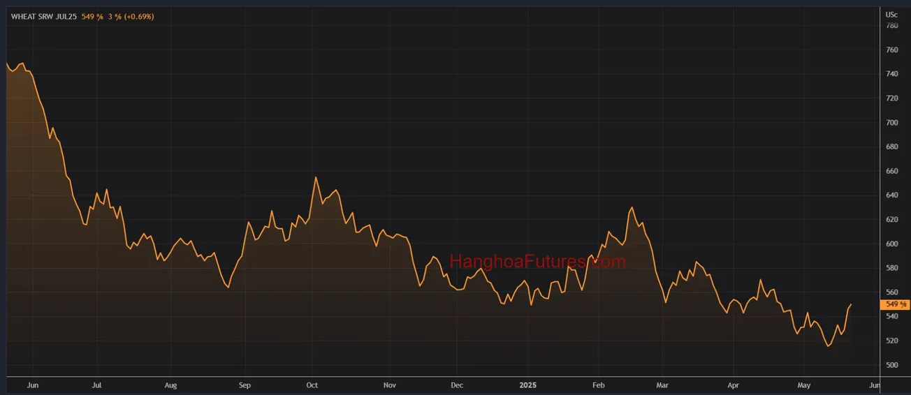 Diễn biến Giá Lúa Mì trên sàn CBOT trong khoảng 01 năm (Từ ngày 27/05/2024 đến ngày 27/05/2025); Khung thời gian Ngày, Daily