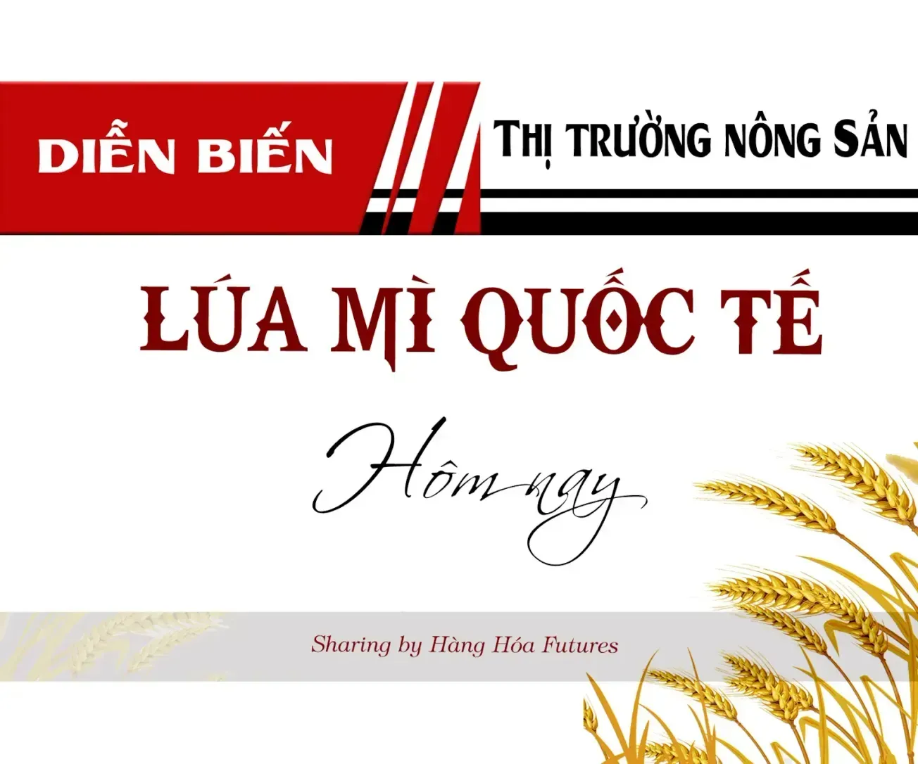 Diễn biến Thị trường Lúa mì Quốc Tế - Ngày 25/06/2025