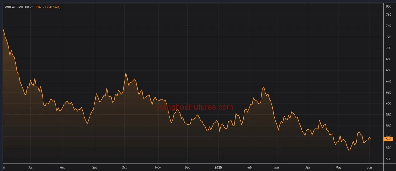 Diễn biến Giá Lúa Mì trên sàn CBOT trong khoảng 01 năm (Từ ngày 03/06/2024 đến ngày 03/06/2025); Khung thời gian Ngày, Daily
