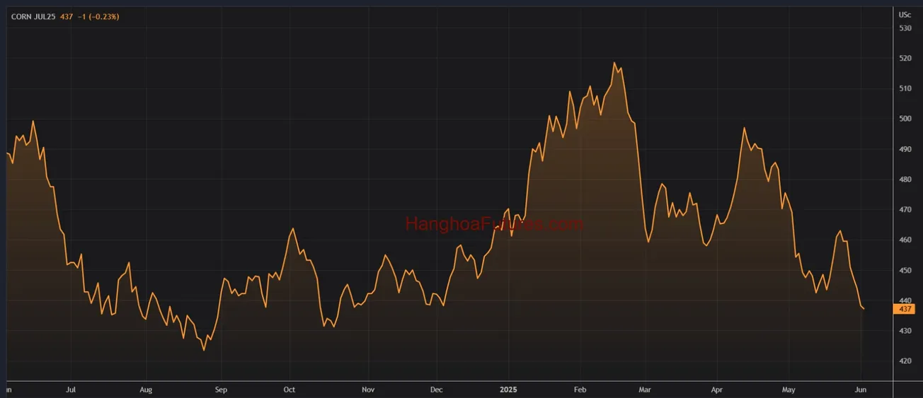 Diễn biến Ngô trên sàn CBOT trong khoảng 01 năm (Từ ngày 03/06/2024 đến ngày 03/06/2025); Khung thời gian Ngày, Daily