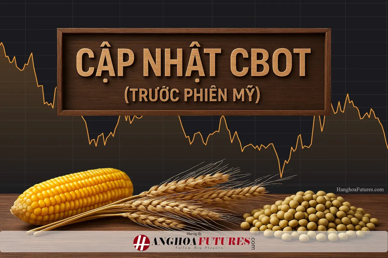 Cập nhật CBOT (Trước phiên Mỹ) - Lúa mì tăng 2–3 cent, ngô giảm 1–tăng 1, đậu tương giảm 1–2 cent