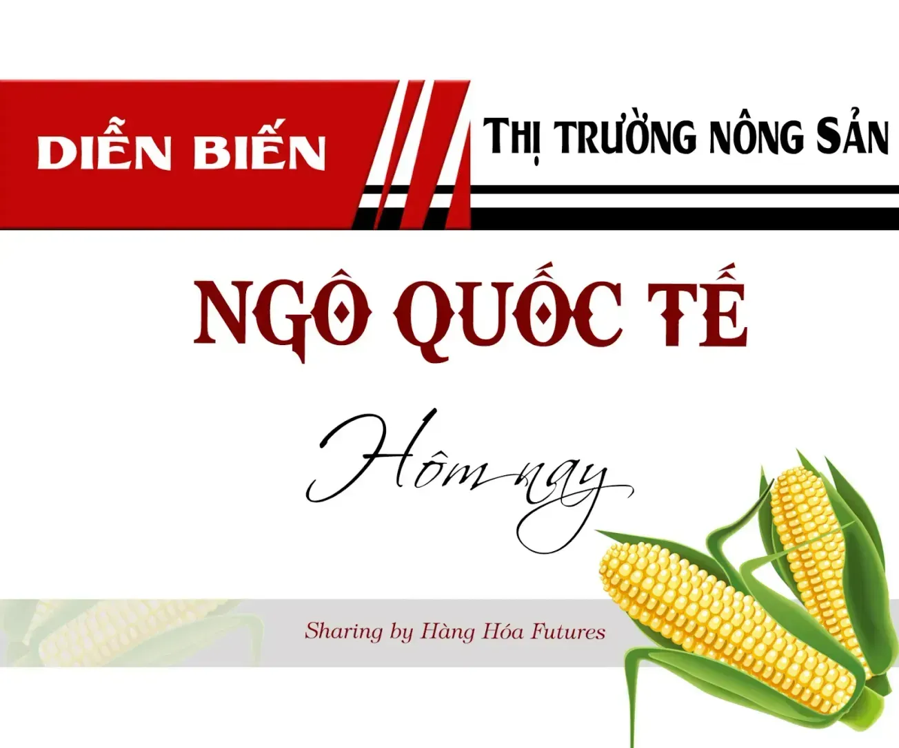 Diễn biến Thị trường Ngô Quốc Tế - Ngày 10/07/2025