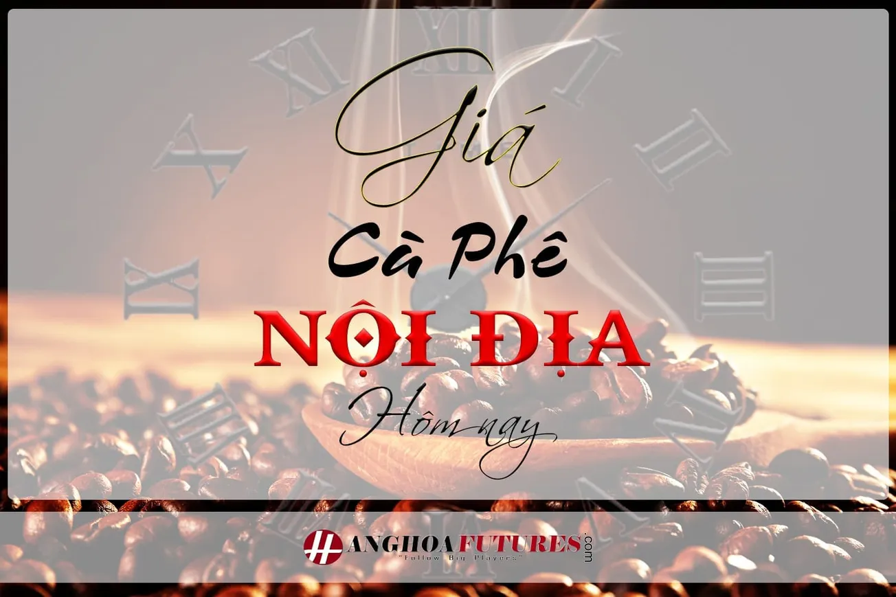 GIÁ CÀ PHÊ NỘI ĐỊA NGÀY 1/10/2025