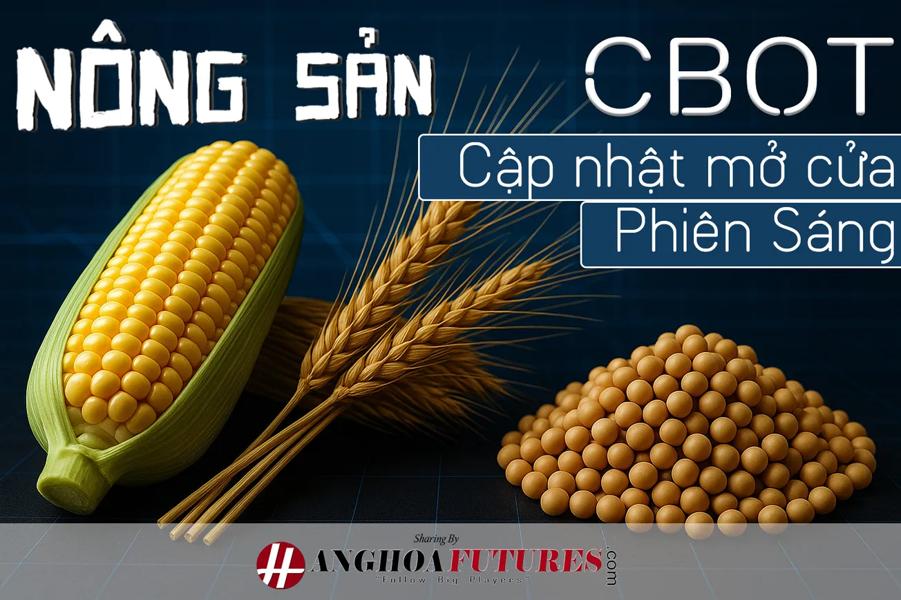 Nông Sản CBOT (Cập nhật Mở cửa Phiên Sáng) - Nguồn cung "khủng" từ Nam Bán cầu nhấn chìm giá lúa mì xuống đáy 7 tuần.